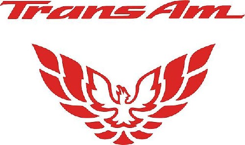 Adesivo in Vinile Riempitivo per Fanale Posteriore Trans Am per Pontiac Firebird 1998-2002