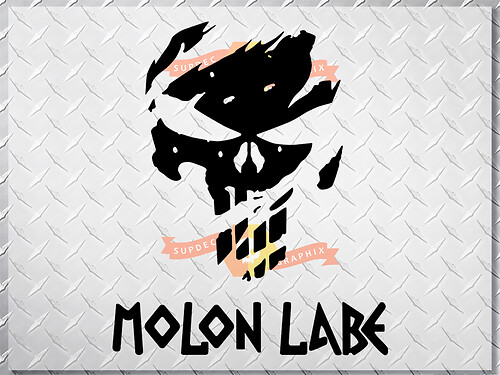 Adesivo in Vinile Laterale Teschio Punisher Molon Labe per Jeep Wrangler