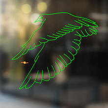 Adesivo in Vinile Universale Falcon Bird_3