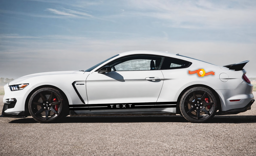 Adesivo Vinile Personalizzato Strisce Laterali Rocker Pannello Porta Cofano per Musclecar Modello Musclecar GT500
