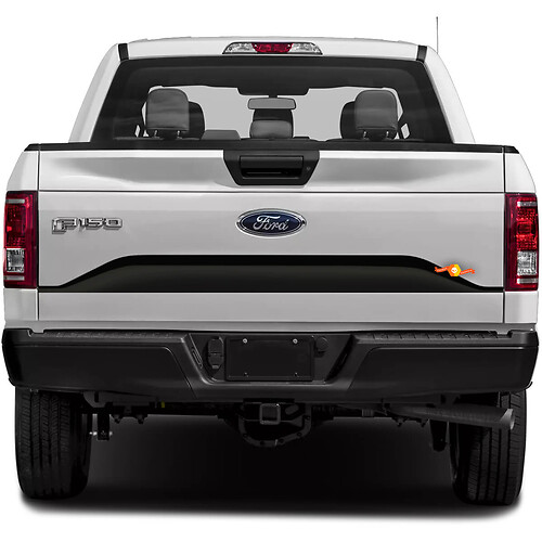 Decalcomania adesiva a strisce per pannello portellone inferiore Ford F-150 2015-2017
