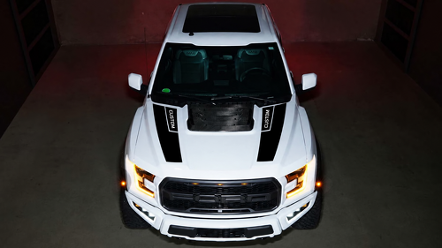 Adesivo Vinil Coppia Accento Rally PERSONALIZZATO Cofano per Ford F-150 2016-2018