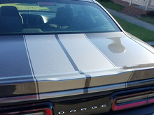 Kit di Adesivi con Strisce Rally Stile 16 Pezzi per Dodge Challenger 2015 e Successivi 2