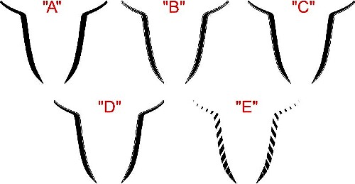 2015 e oltre Dodge Charger SRT / HELLCAT Kit strisce con accento lancia sul cofano