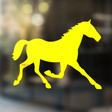 Cavallo Vinile Arte Parete Finestra Bagno Adesivo Decalcomania #3
_3