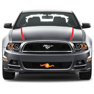 FORD MUSTANG 2013- 2020 STRISCE LATERALI PER CAPPUCCIO