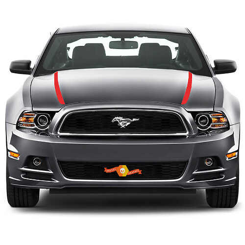 FORD MUSTANG 2013- 2020 STRISCE LATERALI PER CAPPUCCIO
