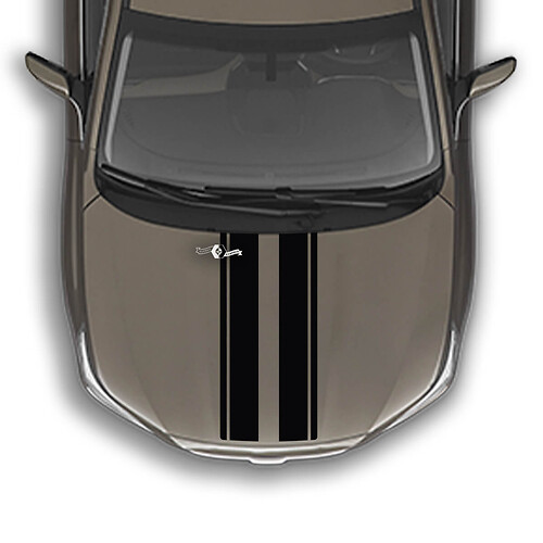 Adesivi per decalcomanie di dimensioni universali a strisce sul cofano Dual Racing
