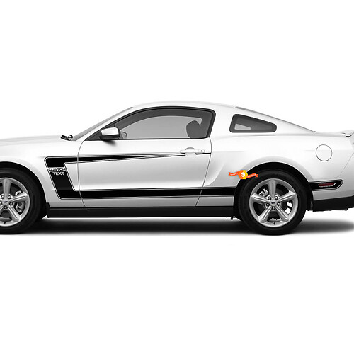 Adesivi per decalcomanie C-Stripes laterali con testo personalizzato Ford Mustang BOSS 302 Style
