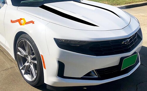 Adesivo per cofano Chevrolet Camaro 2019 Pacchetto decalcomanie strisce di ragno, grafica in vinile
