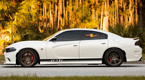 Adesivi personalizzati 2X per soglia portiera Strisce decalcomanie grafiche in vinile per Dodge Charger 8343