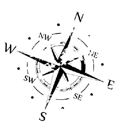 Adesivo Vinile Grafico Nero Opaco per Cofano con Graffi a Bussola