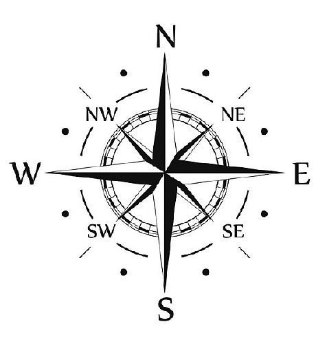 Adesivo Vinile Grafico Cofano Compass per Auto