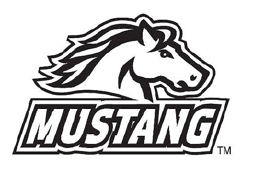 Adesivo decalcomania logo Momo#1