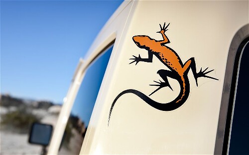 Set di Adesivi in Vinile Mojave Gecko per Jeep Wrangler