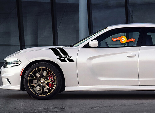 Adesivi grafici Strisce a Maglia 2 per Dodge Charger