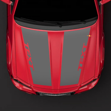 Adesivo cofano stile Chrysler 300C HEMI Decalcomania oscurante superiore pretagliata
 3